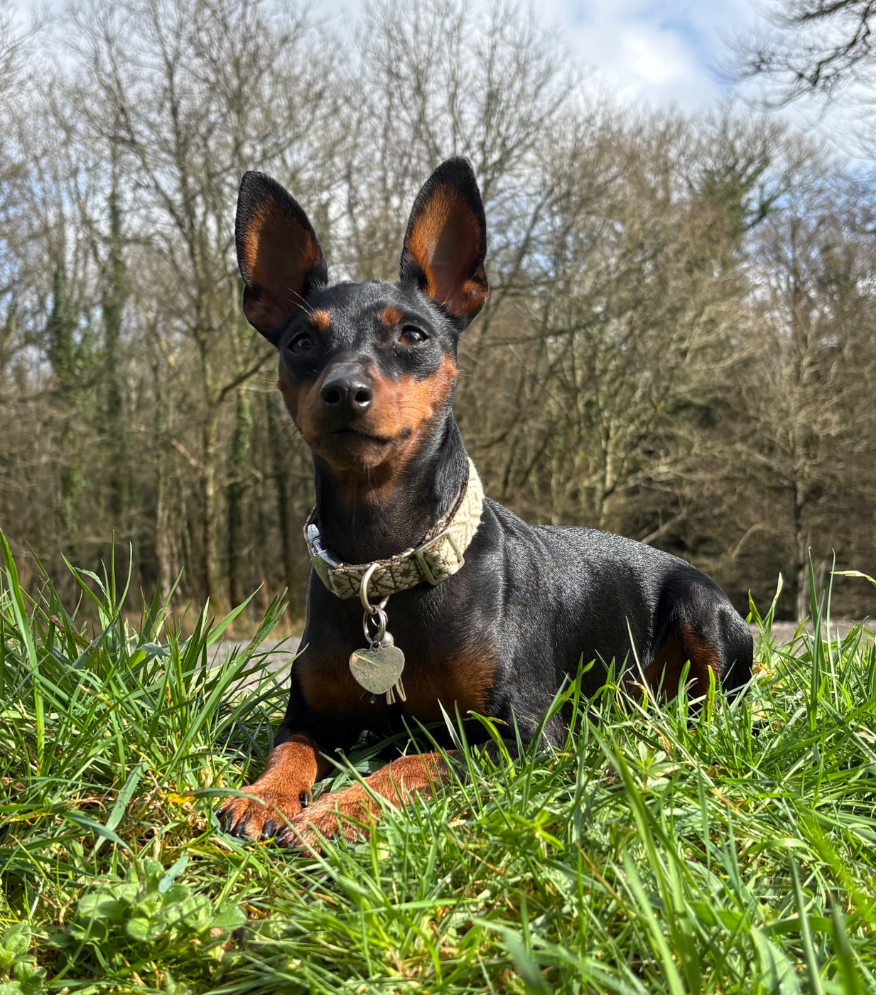 Venus De La Plaine Bretonne